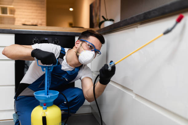 Best Pest Inspection Near Me  in Waretown, NJ
