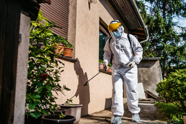 Best Insect Control  in Waretown, NJ