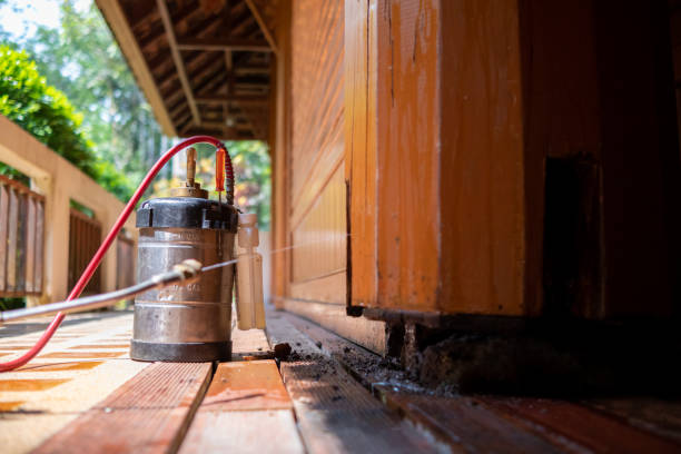 Pest Prevention Services in Waretown, NJ