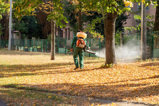 Best Pest Control Near Me in Waretown, NJ